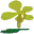 上海植物园